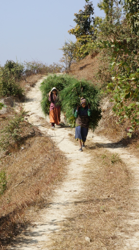 尼泊爾農婦日常生活寫照，林念慈攝影.JPG